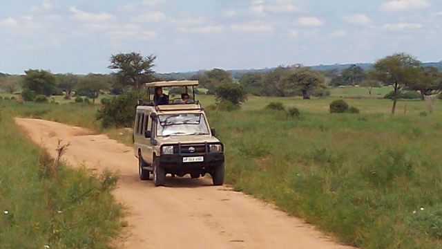 Our Safari Jeeps